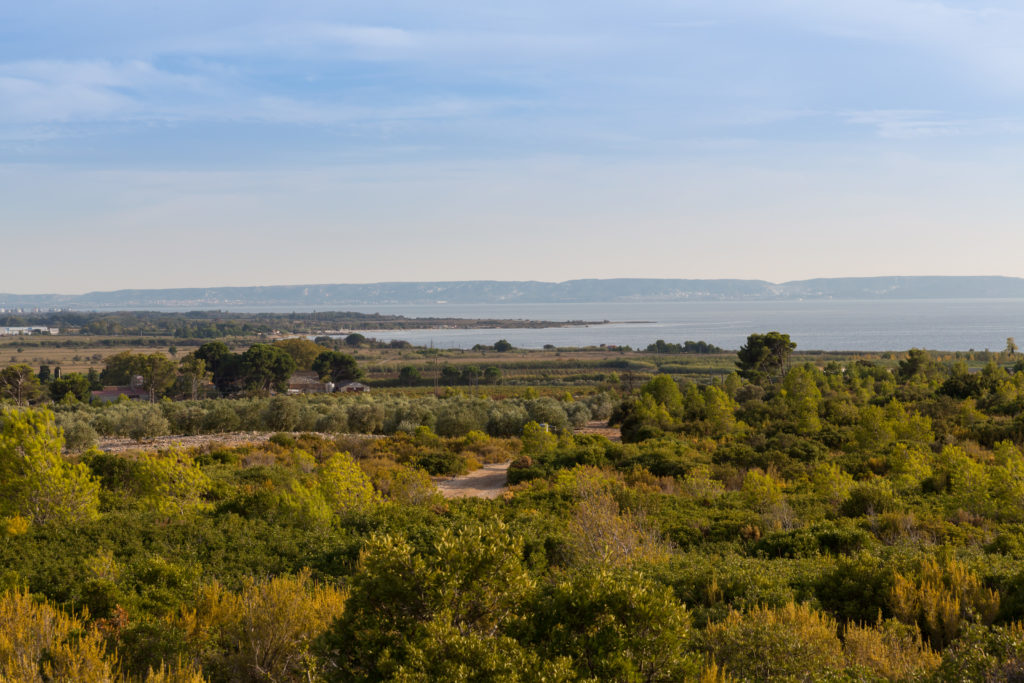 Domaine de Suriane - view over the estate